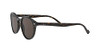 Dark Havana/Dark Brown
