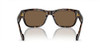 Dark Havana/Dark Brown