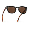 Black Brown Tortoise / Brown Lens