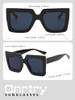 S01 Black Frame/Grey Lens