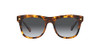 Havana Honey/Gradient Dark Grey Polarized