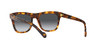 Havana Honey/Gradient Dark Grey Polarized