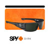 Hawaii / Hd Plus Gray Green Polarized
