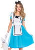 Blue/White