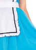 Blue/White