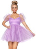 Lavender Lavender
