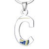 Stainless Steel Color