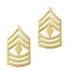 E8 First Sergeant