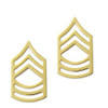 E8 Master Sergeant