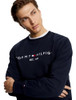 Embroidered Tommy Logo Navy