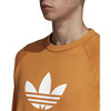 41mBx64WhDL._SL500_.jpg