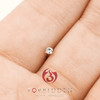 Stainless Steel,Rose Gold,White