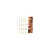 14K Gold Tone