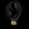 Gold Zirconia