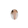 Layer