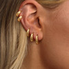 5 pair gold hoops
