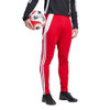 Team Power Red/White