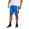 Collegiate Royal/White
