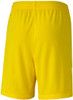 Cyber Yellow