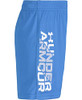 Victory Blue-sp22