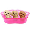 Newborn Pups - Brunette