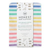 1 Pack - Rainbow Stripe