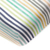 1 Pack - Rainbow Stripe Blues