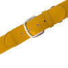 Gold/Yellow