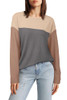 A-grey Apricot A-grey Apricot