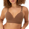 Bronzed Chestnut