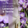 Lavender & Vanilla