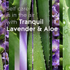 Tranquil Lavender & Aloe