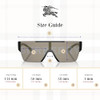 Black / Grey Tamp Burberry Silver/Gold