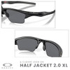 Matte Black / Grey Polarized