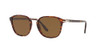 Havana/Brown Polarized