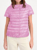 Pink Pink