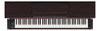 Dark Rosewood