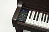 Dark Rosewood
