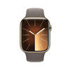 Gold Stainless Steel Case with Clay Sport Band