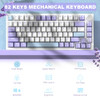 Purple(Sea Salt Switch)
