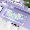 Purple(Sea Salt Switch)