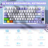 Purple(Flying Fish Switch,Cable)