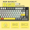 Black(Flying Fish Switch,Cable）