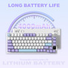 Purple(Flying Fish Switch)