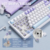 Starlight White（Gift Edition Switch）