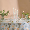 4pcs Arylic Clear 5 Arms