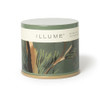 Hinoki Sage