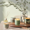 Hinoki Sage