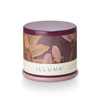 Oleander Oak
