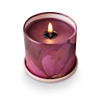 Oleander Oak